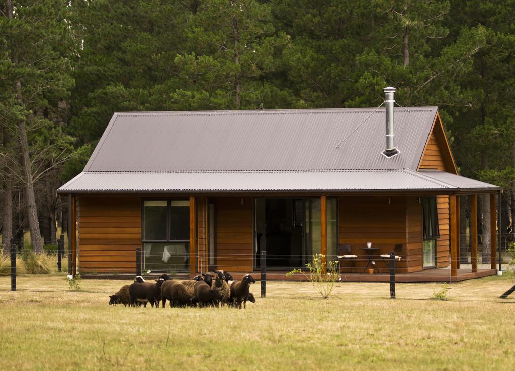 Woodbank Park Cottages Hanmer Springs Rom bilde